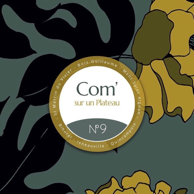 40922910_2023701944348354_4431622323451199488_n